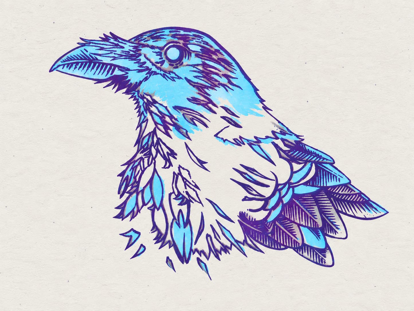 Electric Raven