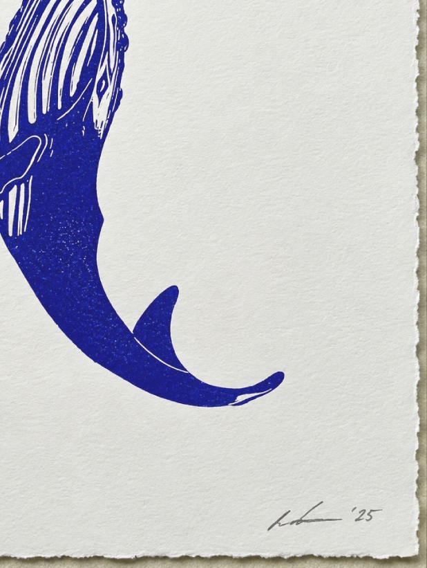Whale Universe